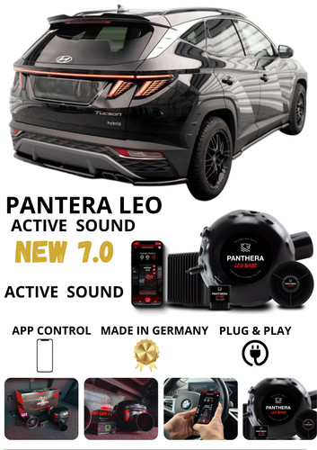 Sound booster panthera - booster,
