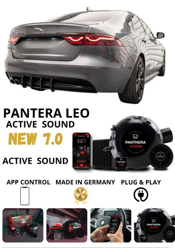 Sound booster panthera - 💕sound,